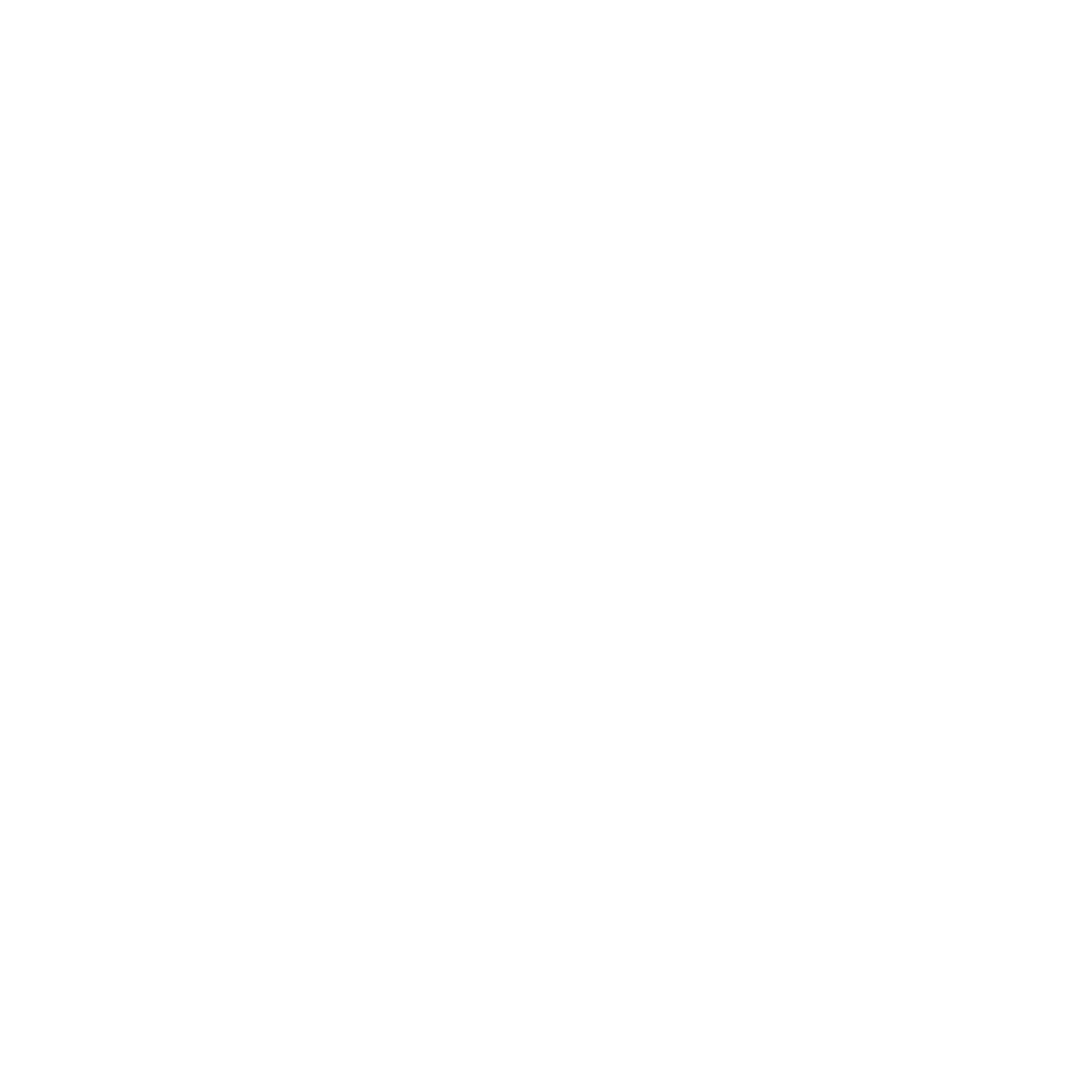 IC Fashion Society